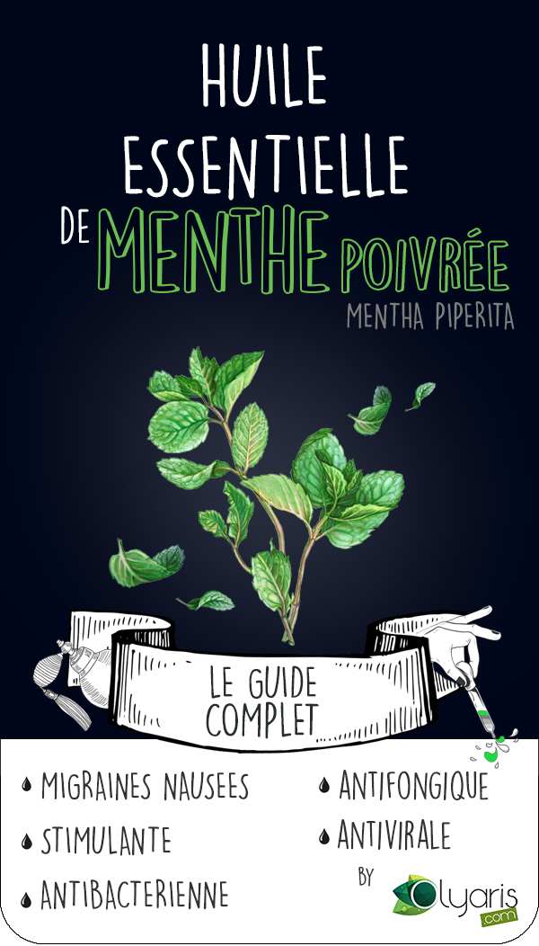 Huile Essentielle de Menthe Poivrée contre la Migraine - Olyaris